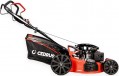 Cedrus KS53S-L