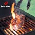 LANDMANN Cool Black 4.1 maxX