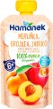 Hamanek Fruit Puree 6 100