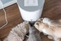 Petoneer Nutri Vision Mini