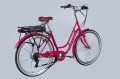 Dorozhnik eRetro Vbr FR 500W 2025