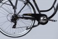Dorozhnik eRetro Vbr FR 500W 2025