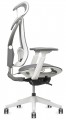 ADAPWORK S1 Mesh Senior ErgoChair