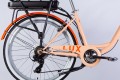 Dorozhnik eLux 500W 26 2025