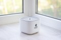 Lapka WF070