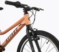 Attabo Rash 20