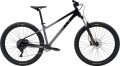 Marin San Quentin 1 29 2026 frame M