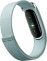 Fitbit Air