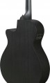 Ibanez AEG621