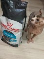 Royal Canin Urinary Care 2 kg