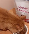 Farmina Vet Life Feline Struvite Management 10 kg