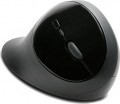 Kensington Pro Fit Ergo Wireless Mouse