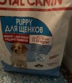 Royal Canin Medium Puppy 10 kg