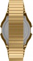 Timex TW2R79000