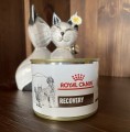 Royal Canin Recovery 2.34 kg