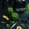Wilfa NutriSmooth