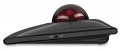 Kensington SlimBlade Pro Trackball