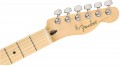 Fender Limited Edition Player Telecaster