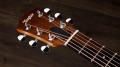 Taylor GS Mini Sapele