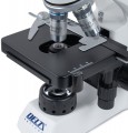 DELTA optical Genetic Bino