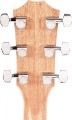 Taylor 210ce Plus