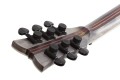 Schecter Solo-II SLS Elite Evil Twin