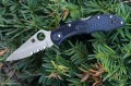 Spyderco Delica 4 PS