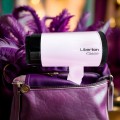 Liberton LHD-6104