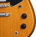 Gibson Theodore Standard