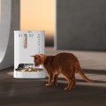 Petkit YumShare Dual-Hopper