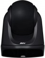 Aver Media DL30