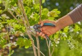 GARDENA PremiumCut 12241-20