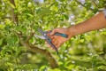 GARDENA PremiumCut 12252-20
