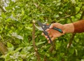 GARDENA PremiumCut Pro 12251-20