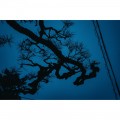 Sigma 17-40mm f/1.8 Art DC