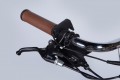 Dorozhnik eRUBY DD FR 17.5 Ah 500W 2025
