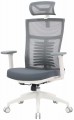 OfficePro Balance OC550