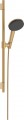 Hansgrohe Raindance Alive Select S 125 EcoSmart 24602000