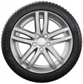 Dunlop Winter