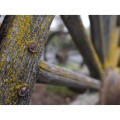 Panasonic 20-60mm f/3.5-5.6 Lumix S