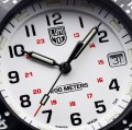 Luminox Original Navy SEAL XS.3007.EVO.S