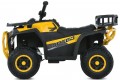 Bambi M6127EBLR