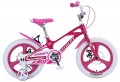 Profi Trike Velocity MB16