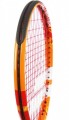 Babolat Ballfighter 17
