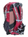 One Polar 1597