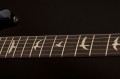 PRS S2 Custom 24