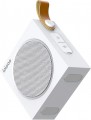 iPipoo YP-2