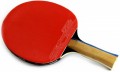 Butterfly Timo Boll Silver