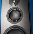 Magico A5