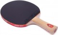 DHS Gold Medal Ma Long 01
